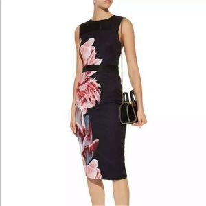 Ted Baker Bodycon Sheath Dress